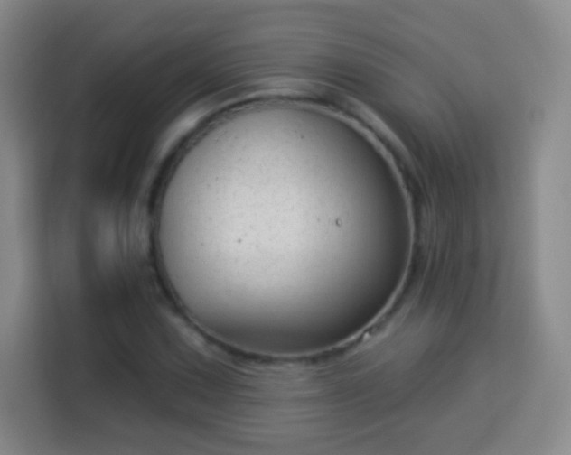 X0000113961067200910021521