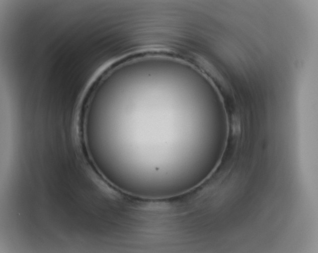 X0000113961068200910021521