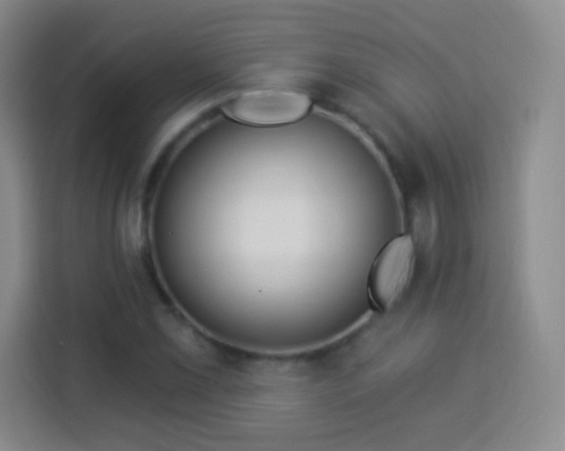 X0000113961069200910021521