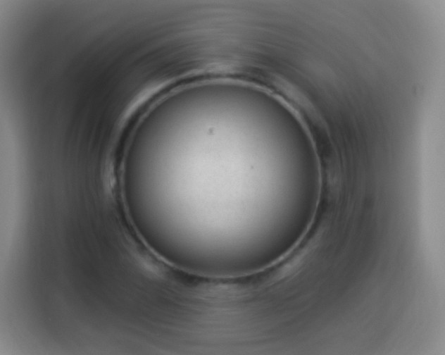 X0000113961070200910021521