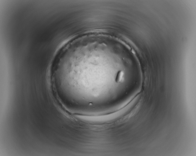 X0000113961071200910021521