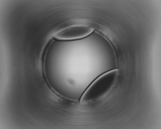 X0000113961072200910021521