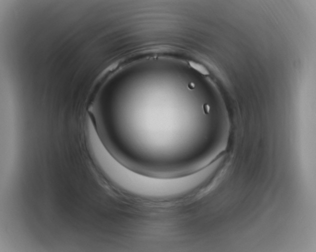 X0000113961073200910021521