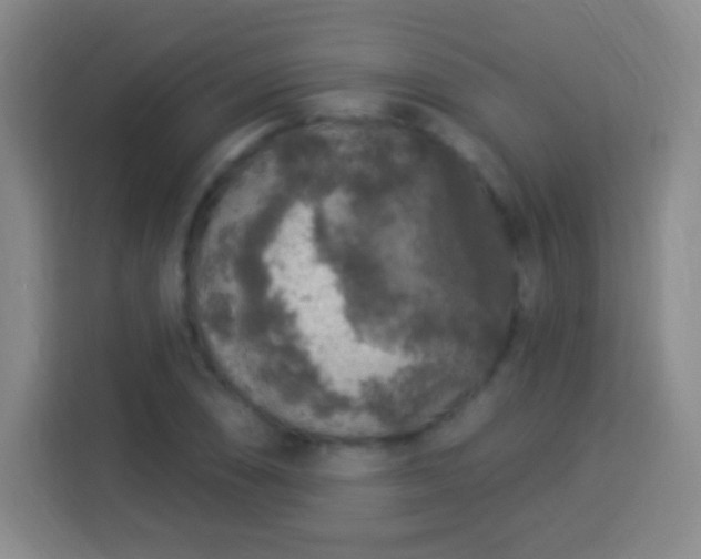 X0000113961074200910021521