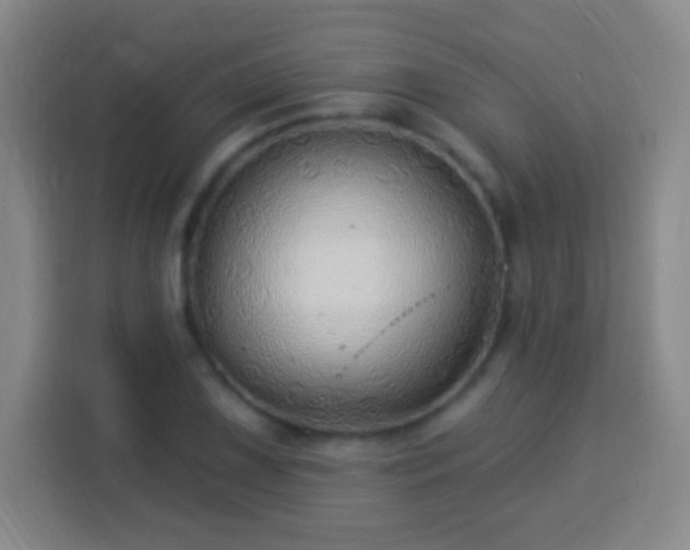 X0000113961075200910021521