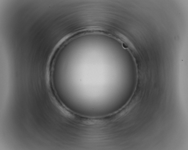 X0000113961076200910021521