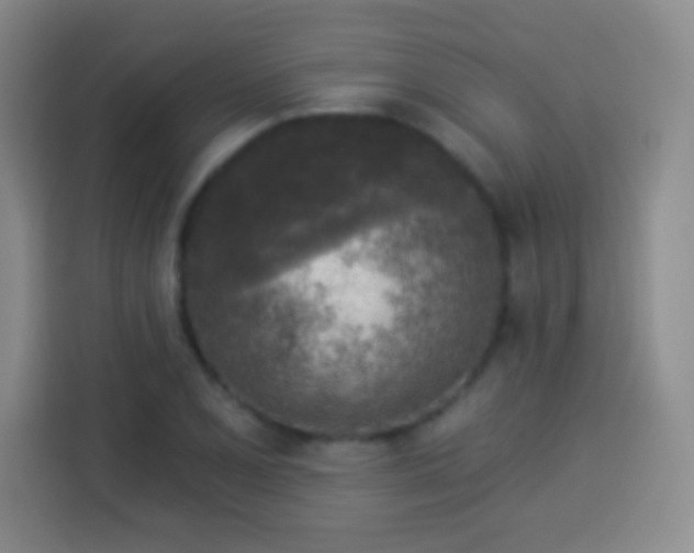 X0000113961077200910021521