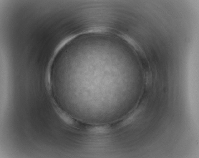 X0000113961078200910021521