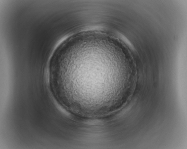 X0000113961079200910021521