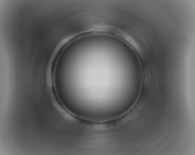 X0000113961080200910021521