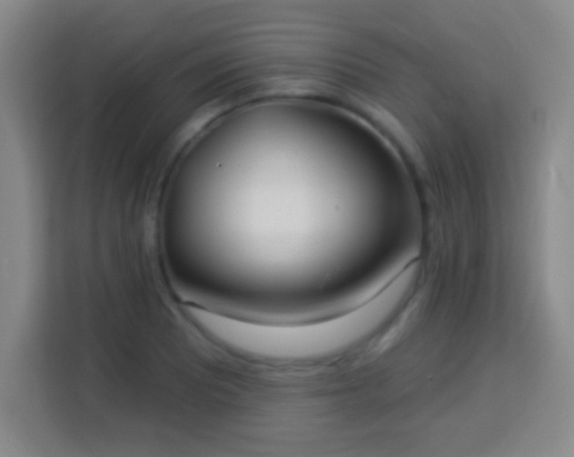 X0000113961081200910021521