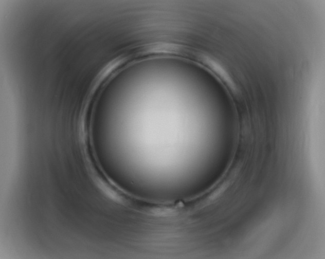 X0000113961082200910021521