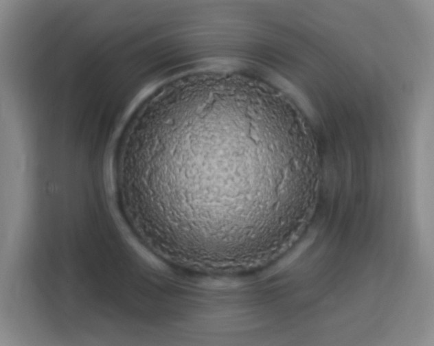 X0000113961083200910021521