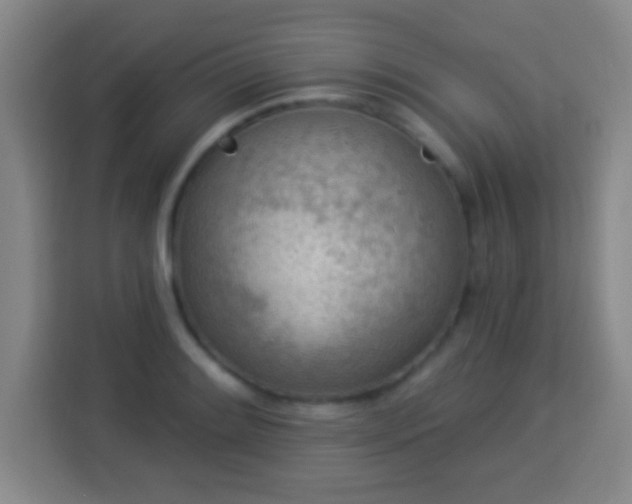 X0000113961084200910021521