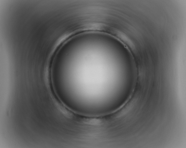 X0000113961085200910021521