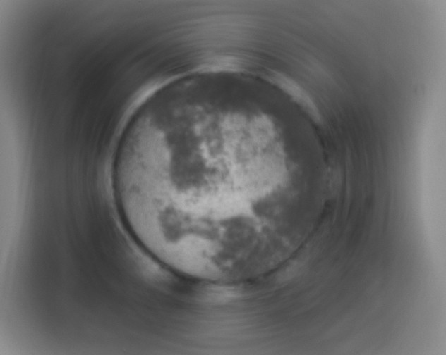 X0000113961086200910021521