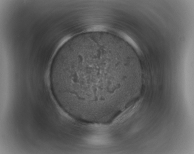 X0000113961087200910021521