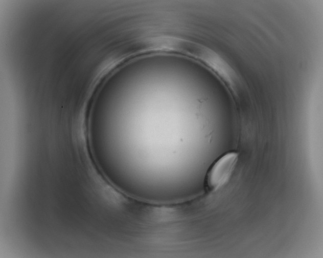 X0000113961088200910021521