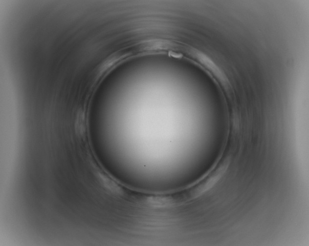 X0000113961089200910021521