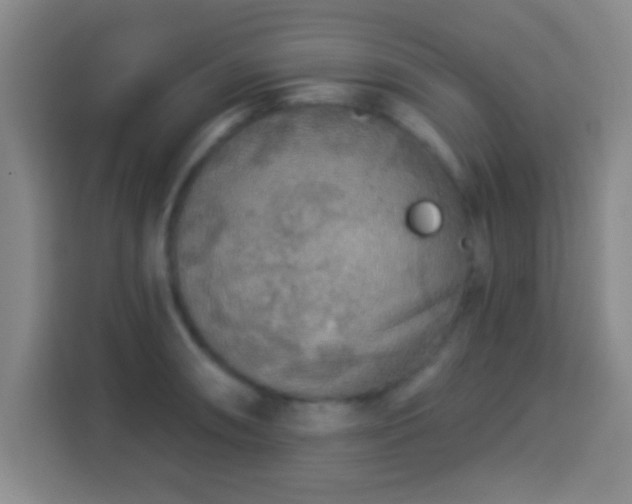 X0000113961090200910021521