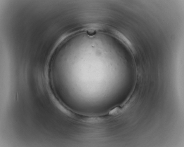 X0000113961091200910021521