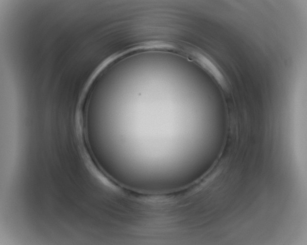 X0000113961092200910021521