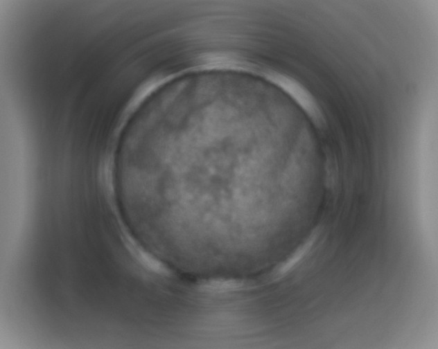 X0000113961094200910021521