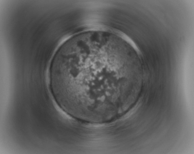 X0000113961095200910021521