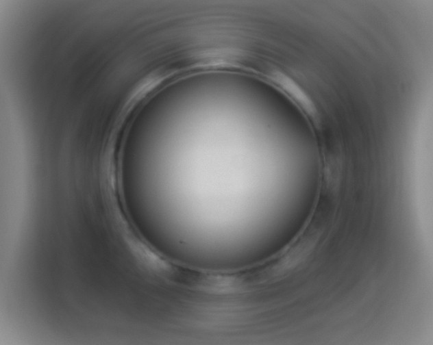 X0000113961096200910021521