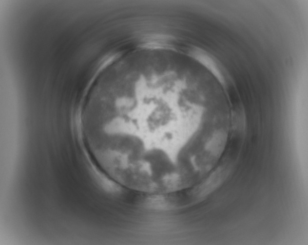 X0000113961098200910021521