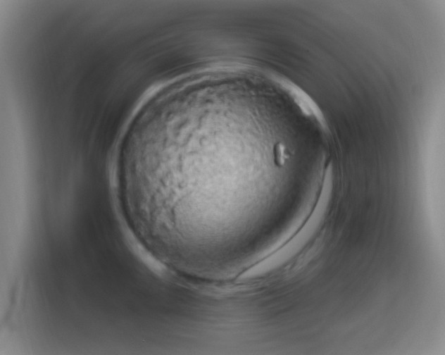 X0000113961099200910021521