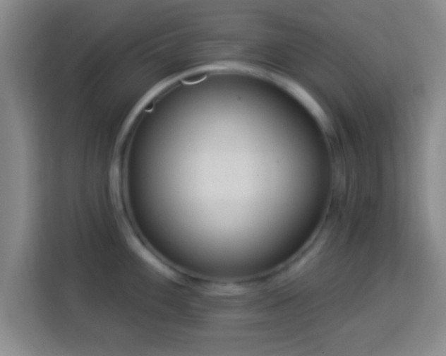 X0000113961100200910021521