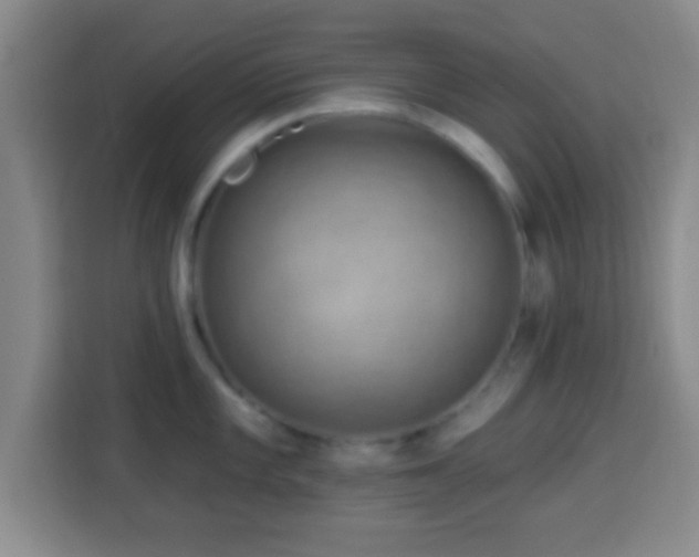 X0000113961101200910021521