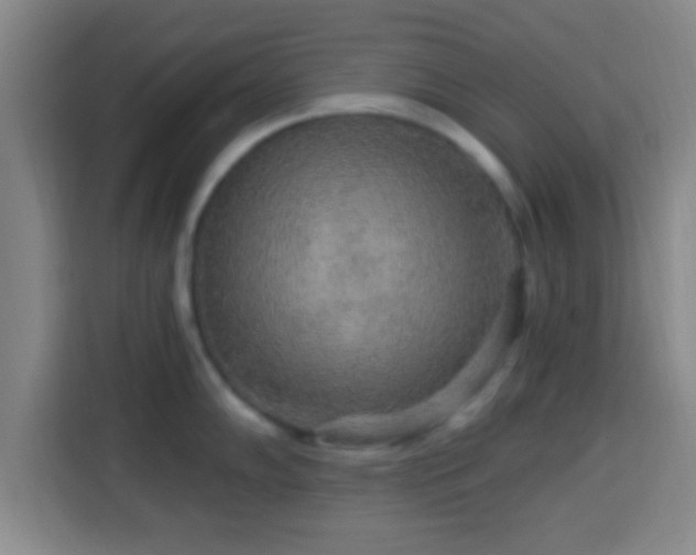 X0000113961102200910021521