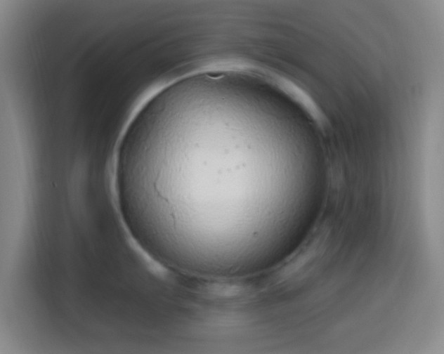 X0000113961103200910021521