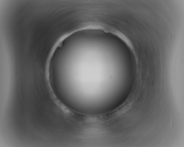 X0000113961104200910021521