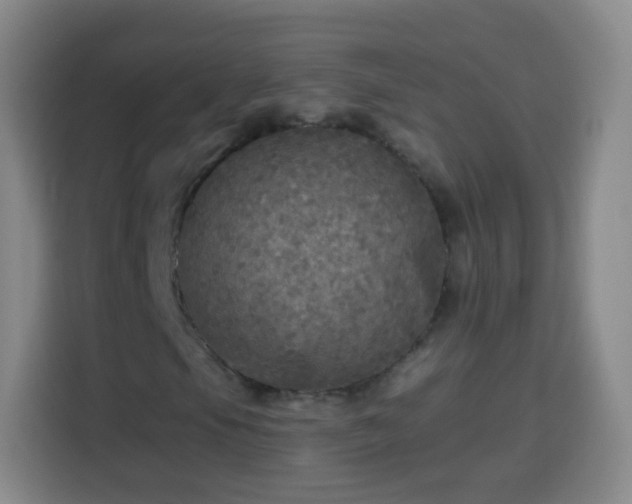 X0000113961105200910021520