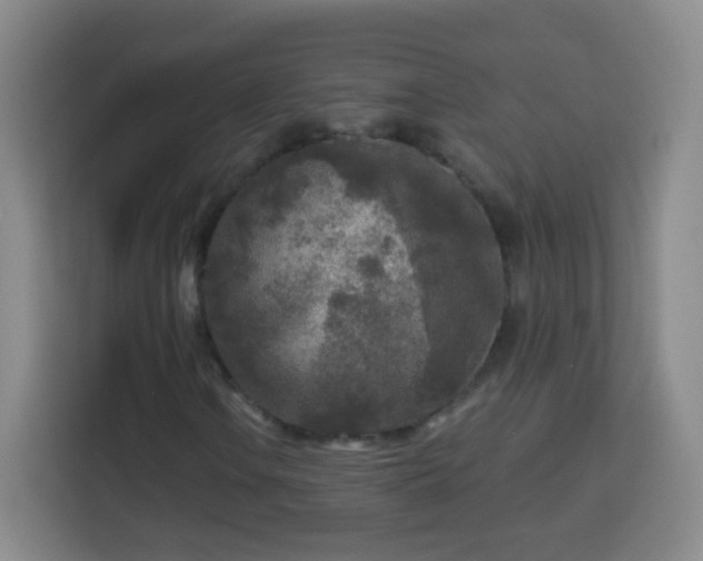 X0000113961106200910021520