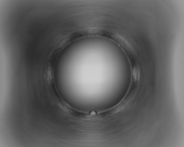 X0000113961107200910021520