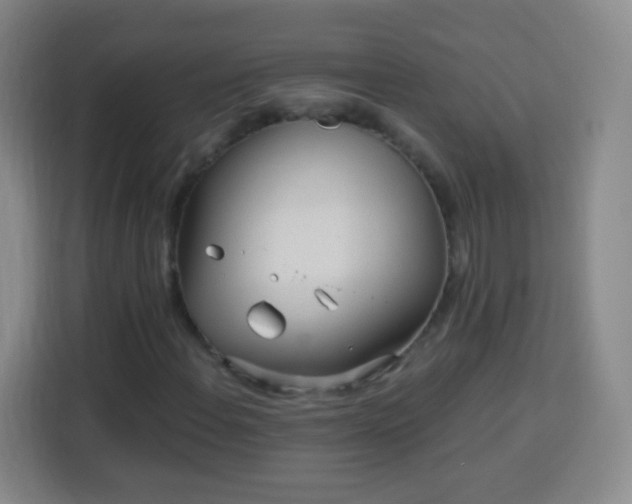 X0000113961108200910021520