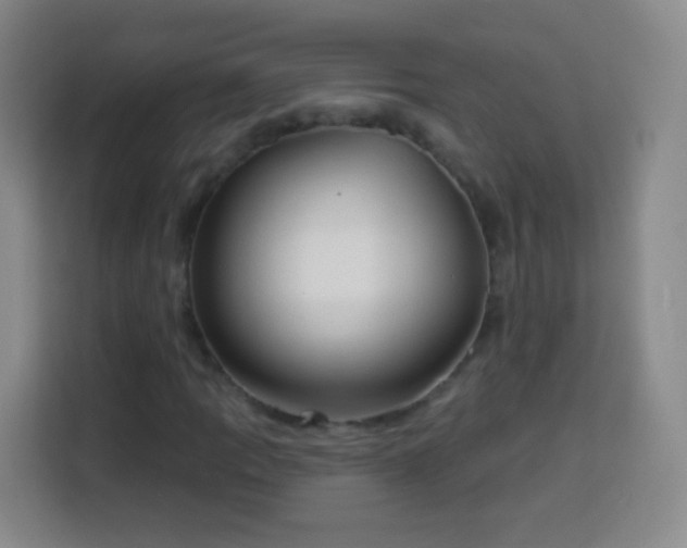 X0000113961109200910021520