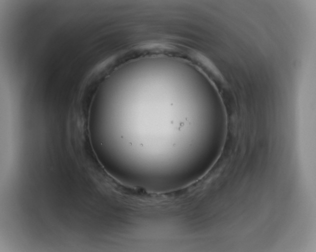 X0000113961111200910021520