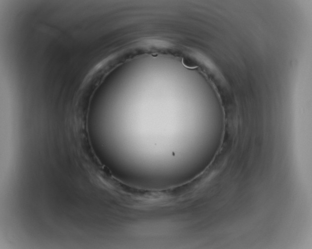 X0000113961112200910021520