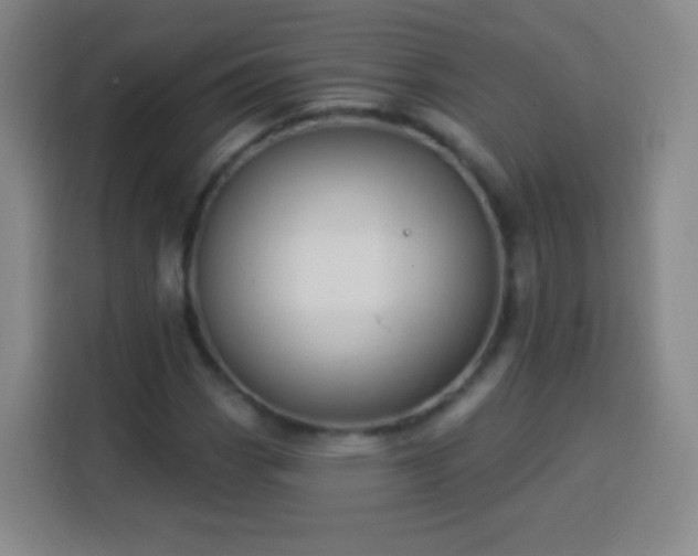 X0000113961113200910021520