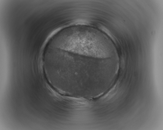 X0000113961115200910021520