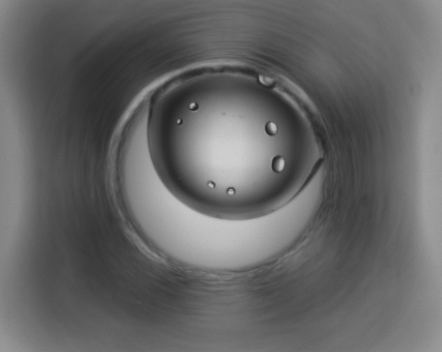 X0000113961116200910021520