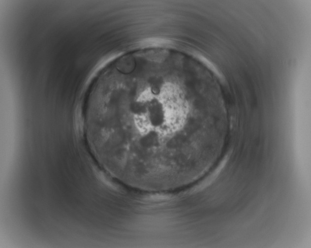 X0000113961117200910021520