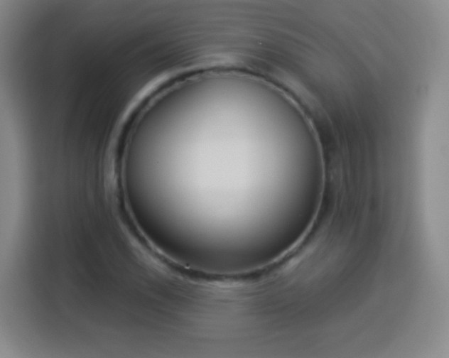 X0000113961118200910021520