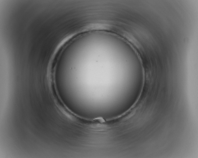 X0000113961119200910021520