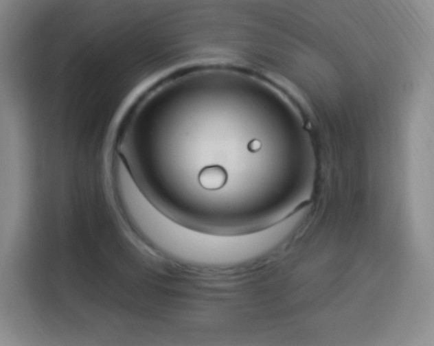 X0000113961120200910021520